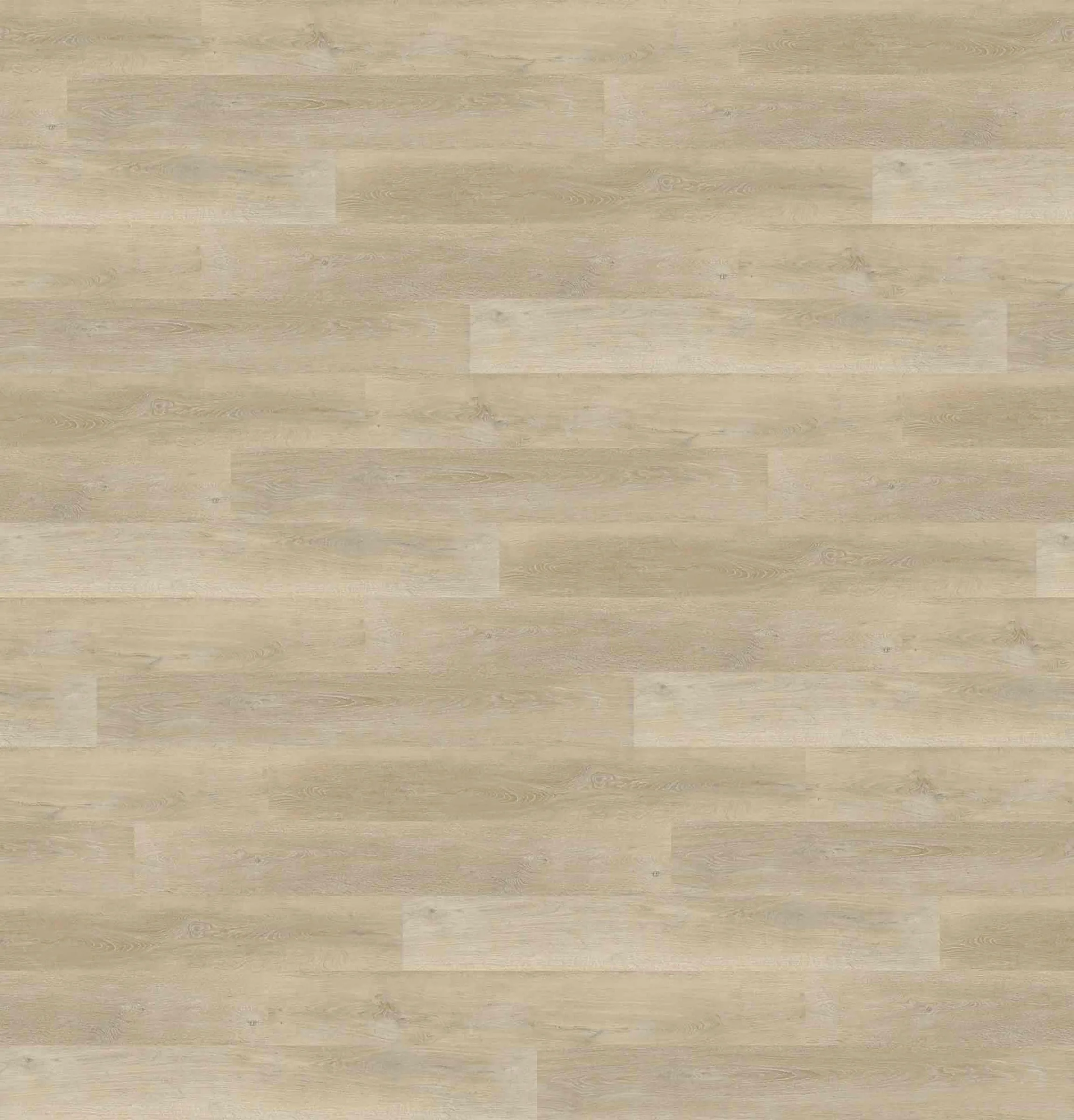 Sunstar Naturale 5.0 Flooring - NP522 Latte