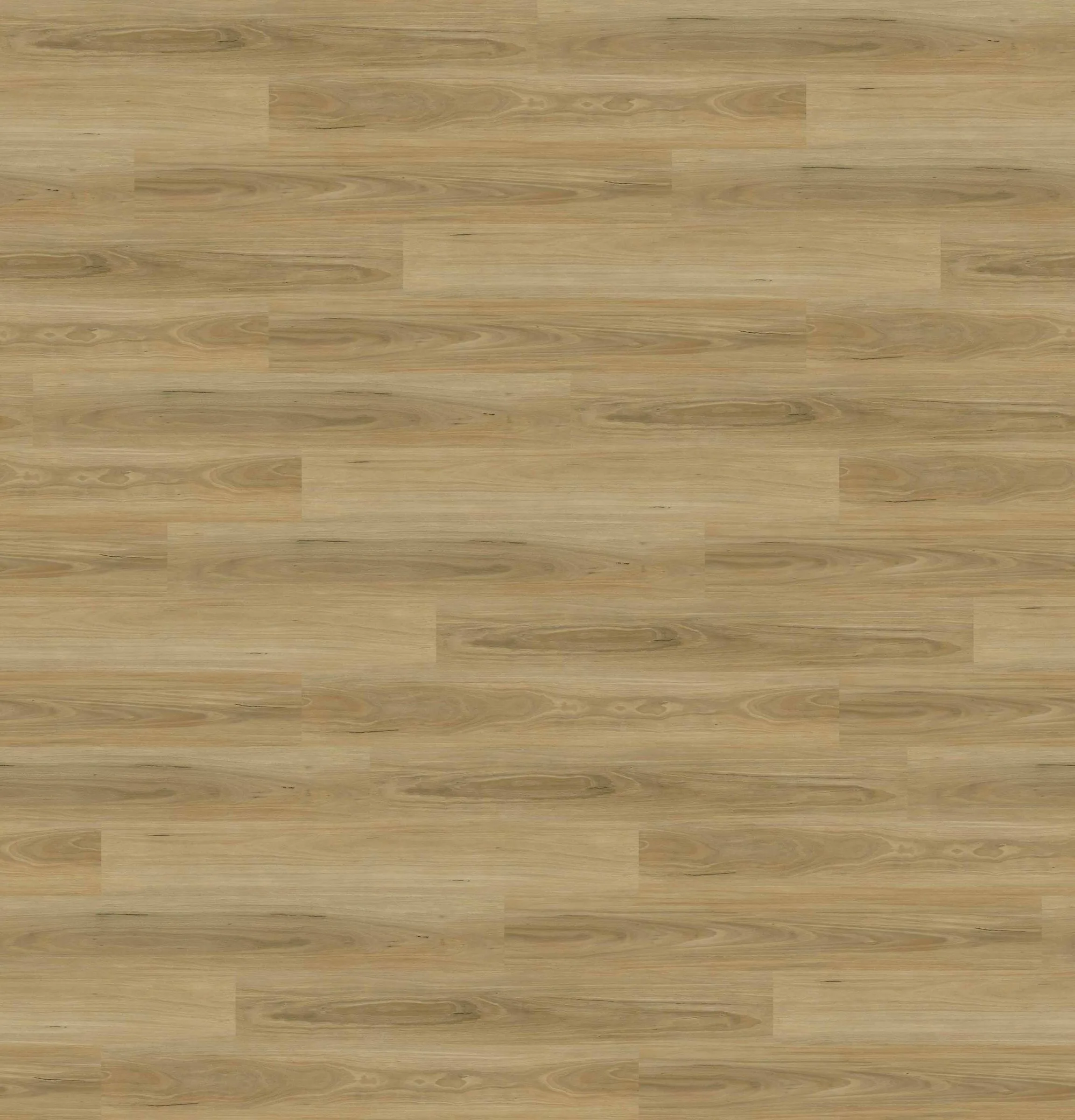 Sunstar Oatlands Flooring - OAT7901 Sandy Blackbutt - Product Image
