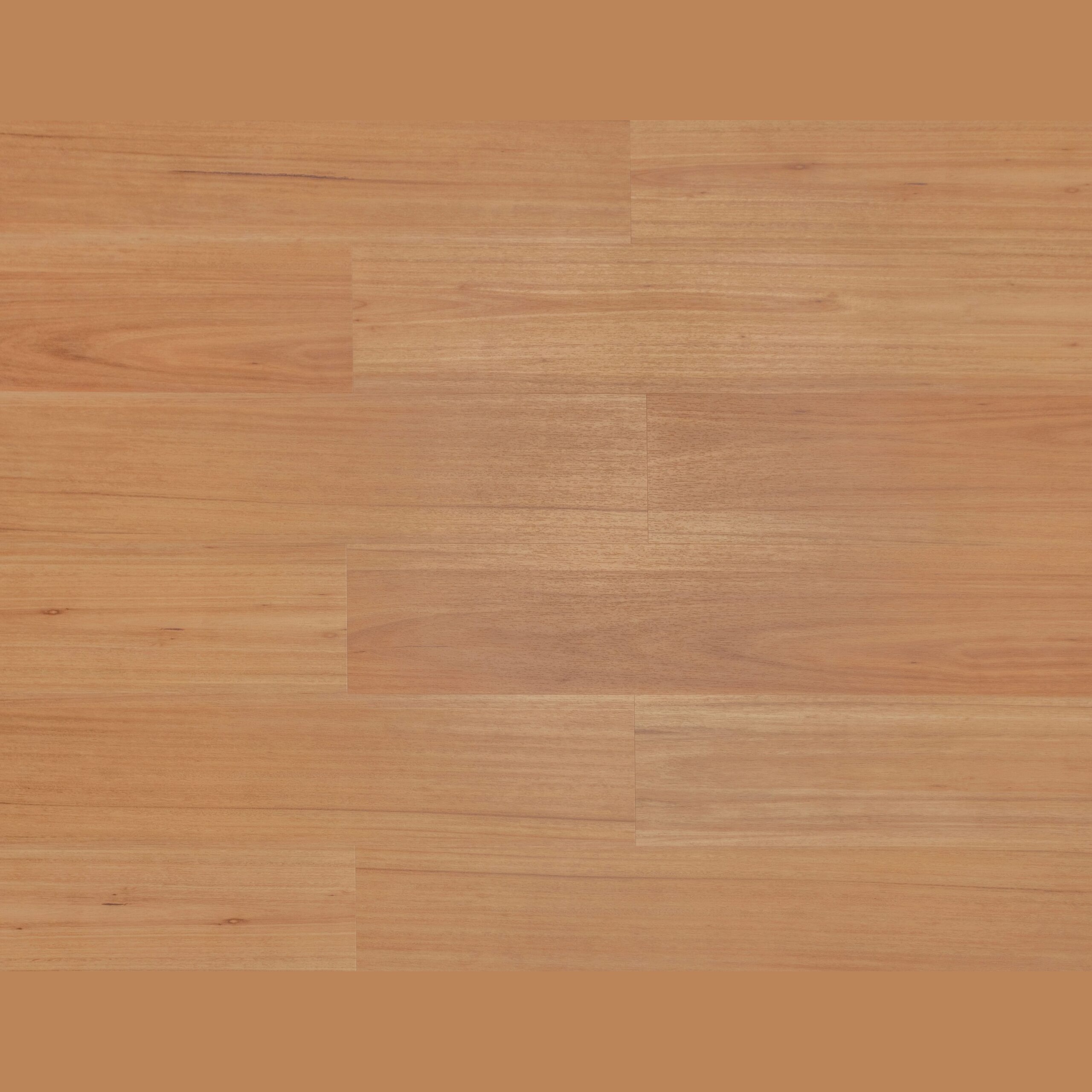 Sunstar Prism Flooring - 825 Radiant Blackbutt