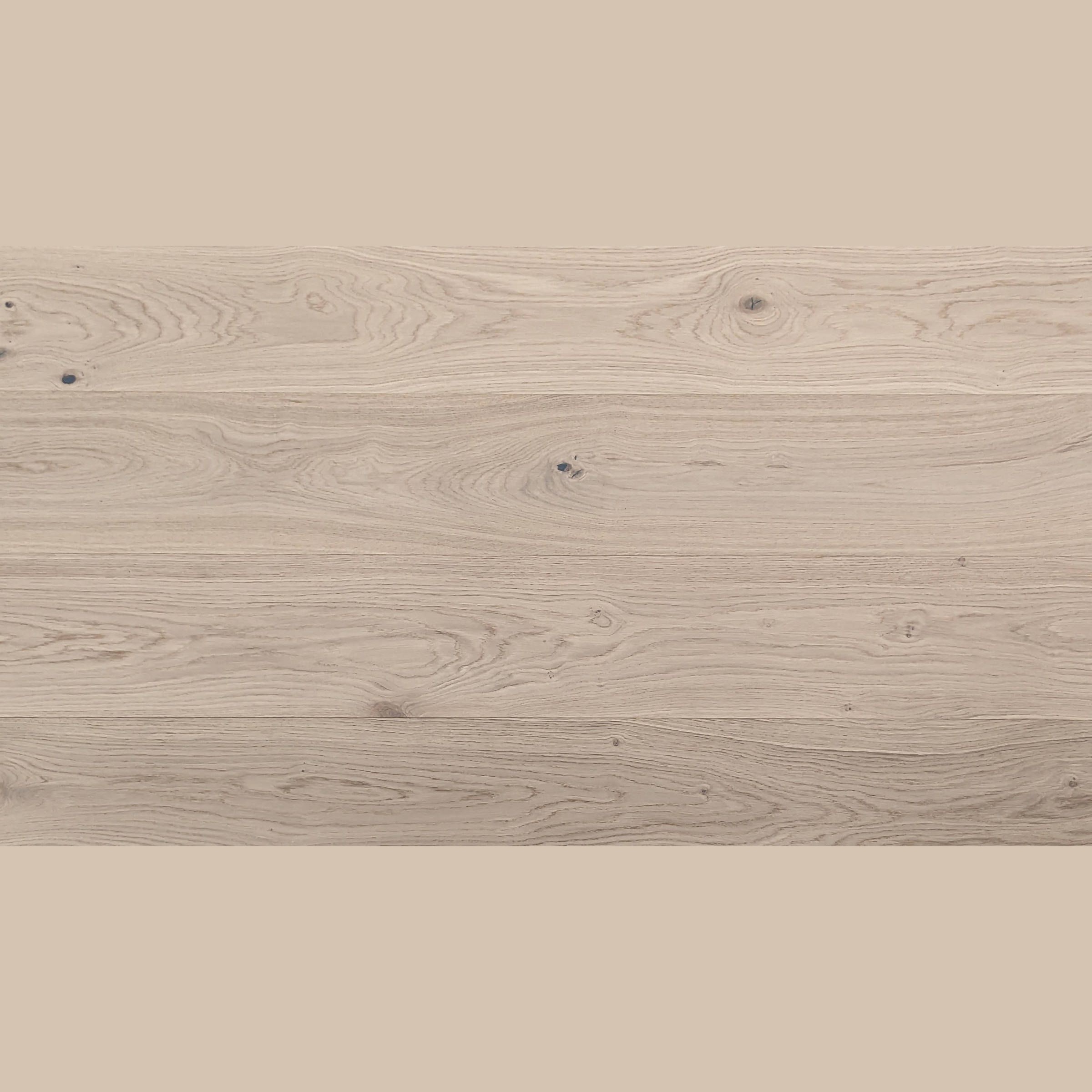 Sunstar Vogue Flooring - V010 Bornate - Gallery Image