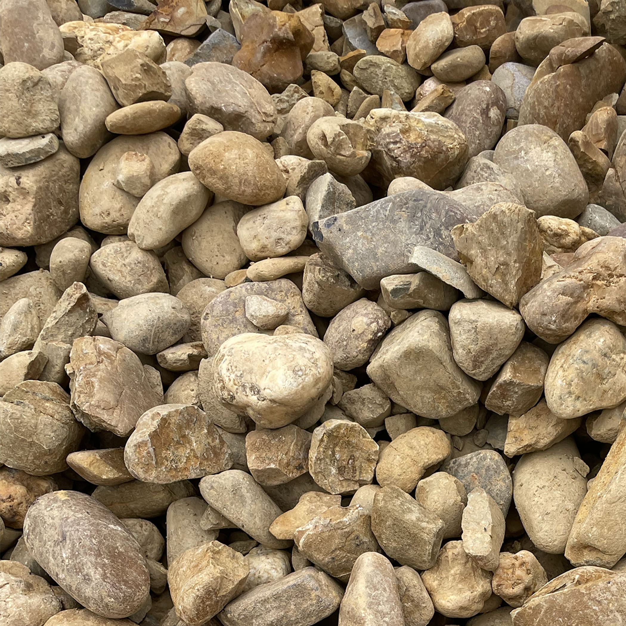 Sandstone feature rock, 50-150mm